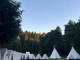 WhatsApp Image 2025-07-03 at 09.17.39